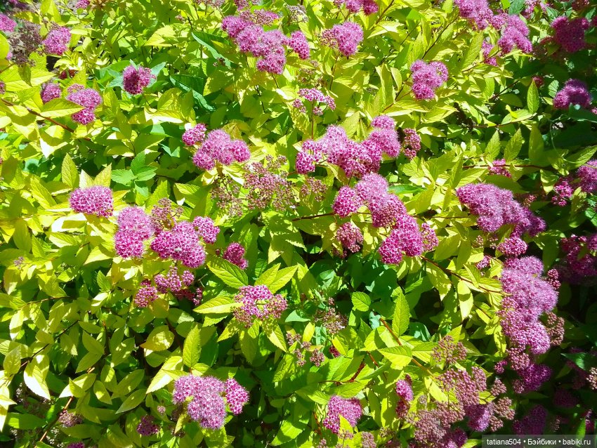 Первая прогулка Натали — Туризм и путешествия: фотоотчеты из поездок