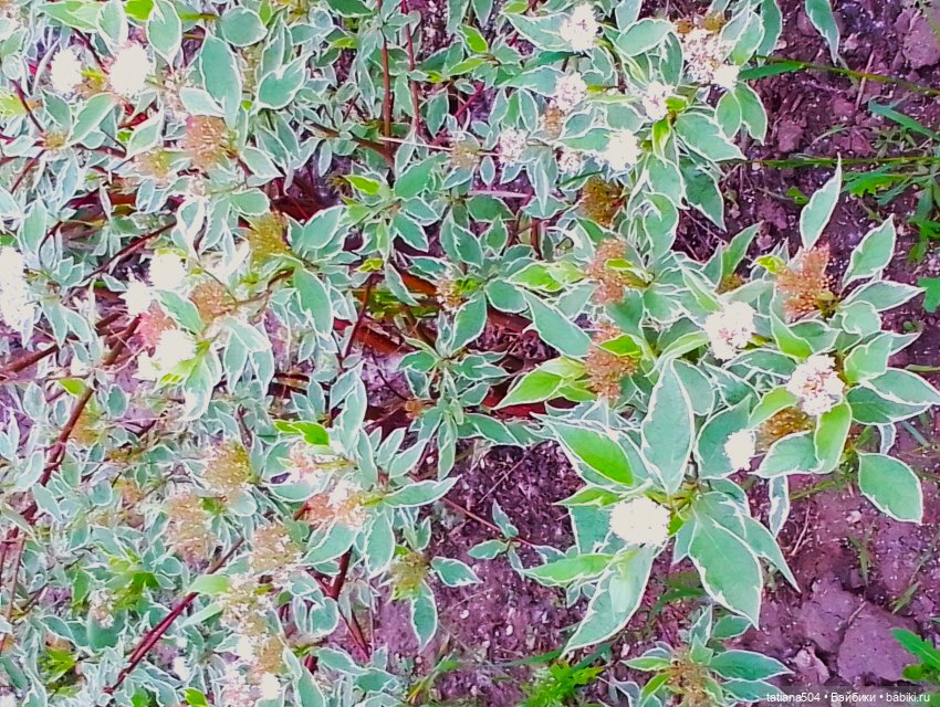 Первая прогулка Натали — Туризм и путешествия: фотоотчеты из поездок (фото 9)