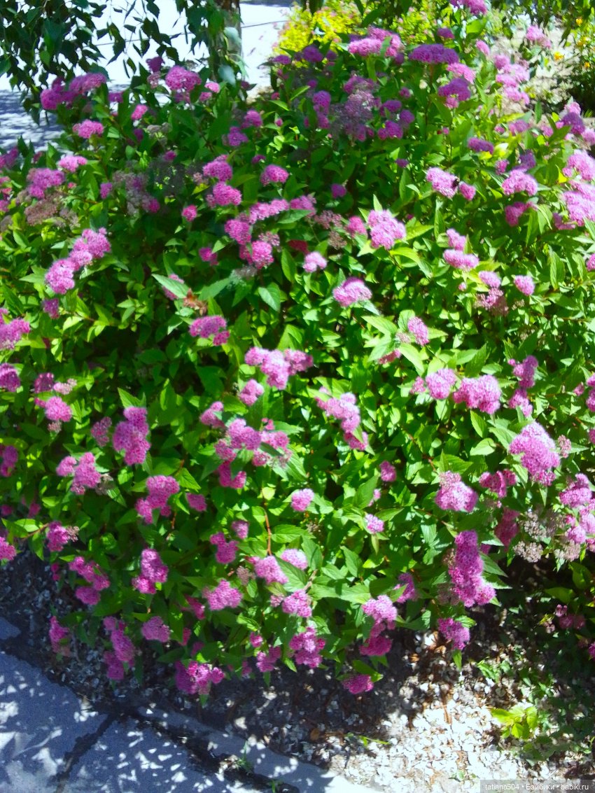 Первая прогулка Натали — Туризм и путешествия: фотоотчеты из поездок