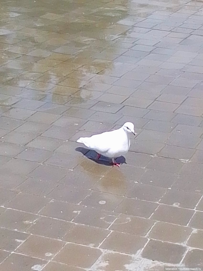 Первая прогулка Натали — Туризм и путешествия: фотоотчеты из поездок