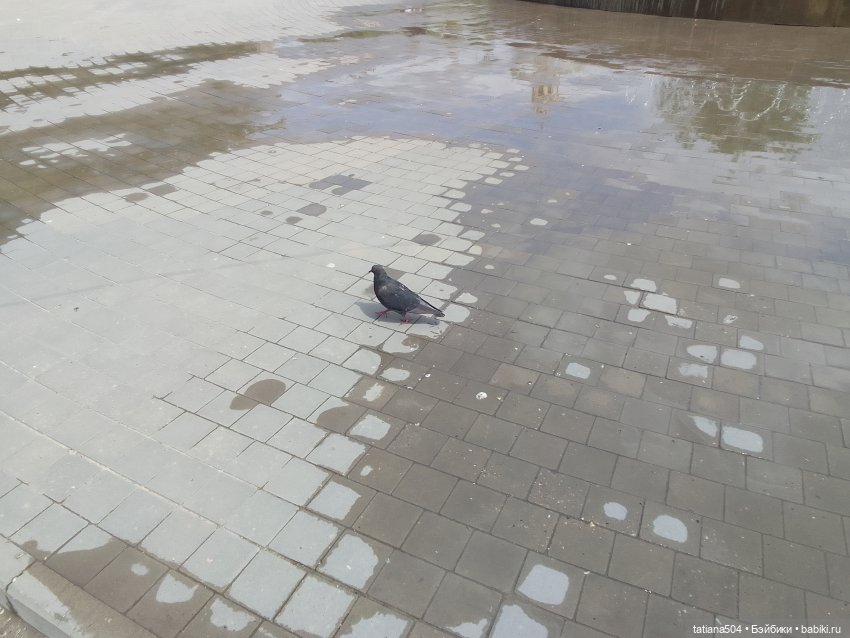 Первая прогулка Натали — Туризм и путешествия: фотоотчеты из поездок