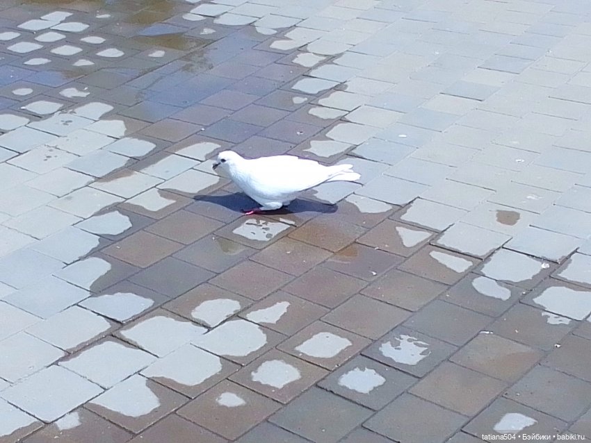 Первая прогулка Натали — Туризм и путешествия: фотоотчеты из поездок