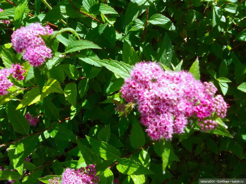 Первая прогулка Натали — Туризм и путешествия: фотоотчеты из поездок