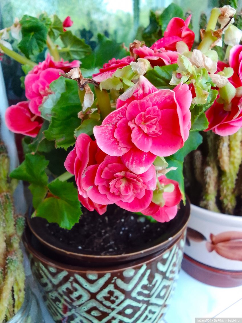 Настоящая дружба — Фарфоровые куклы Linda Rick (Линда Рик): The Doll Maker