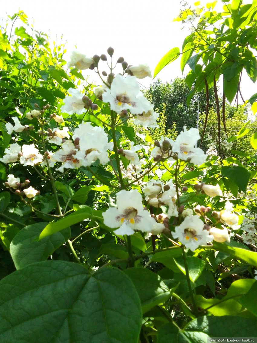 Пенни – цветочница — Винтажные куклы ГДР (Немки): Бигги (фото 8)