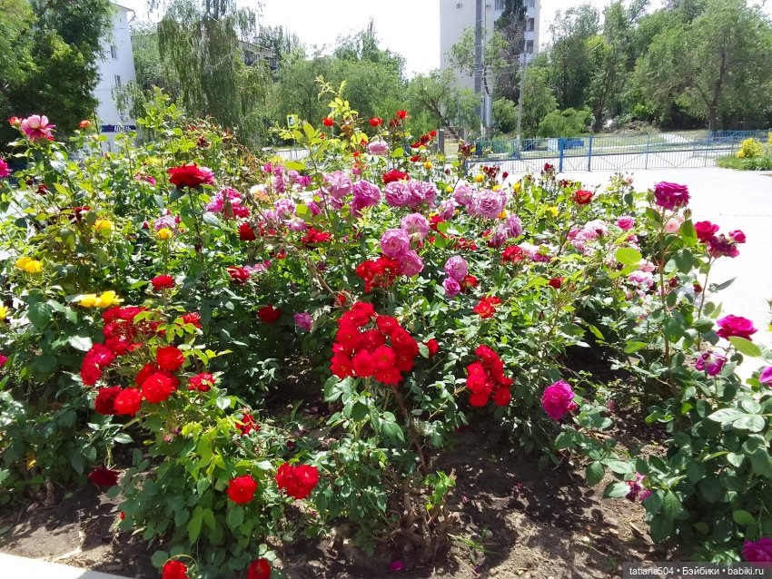 Пенни – цветочница — Винтажные куклы ГДР (Немки): Бигги