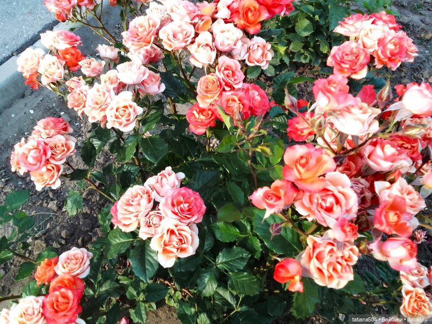 Девочки в цветочках — Куклы Helen Kish (Хелен Киш): Riley (Райли)