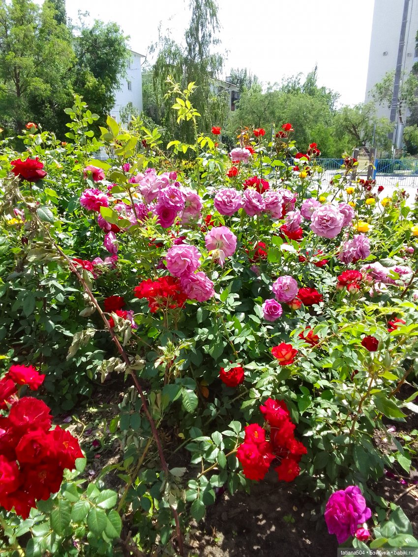 Пенни – цветочница — Винтажные куклы ГДР (Немки): Бигги