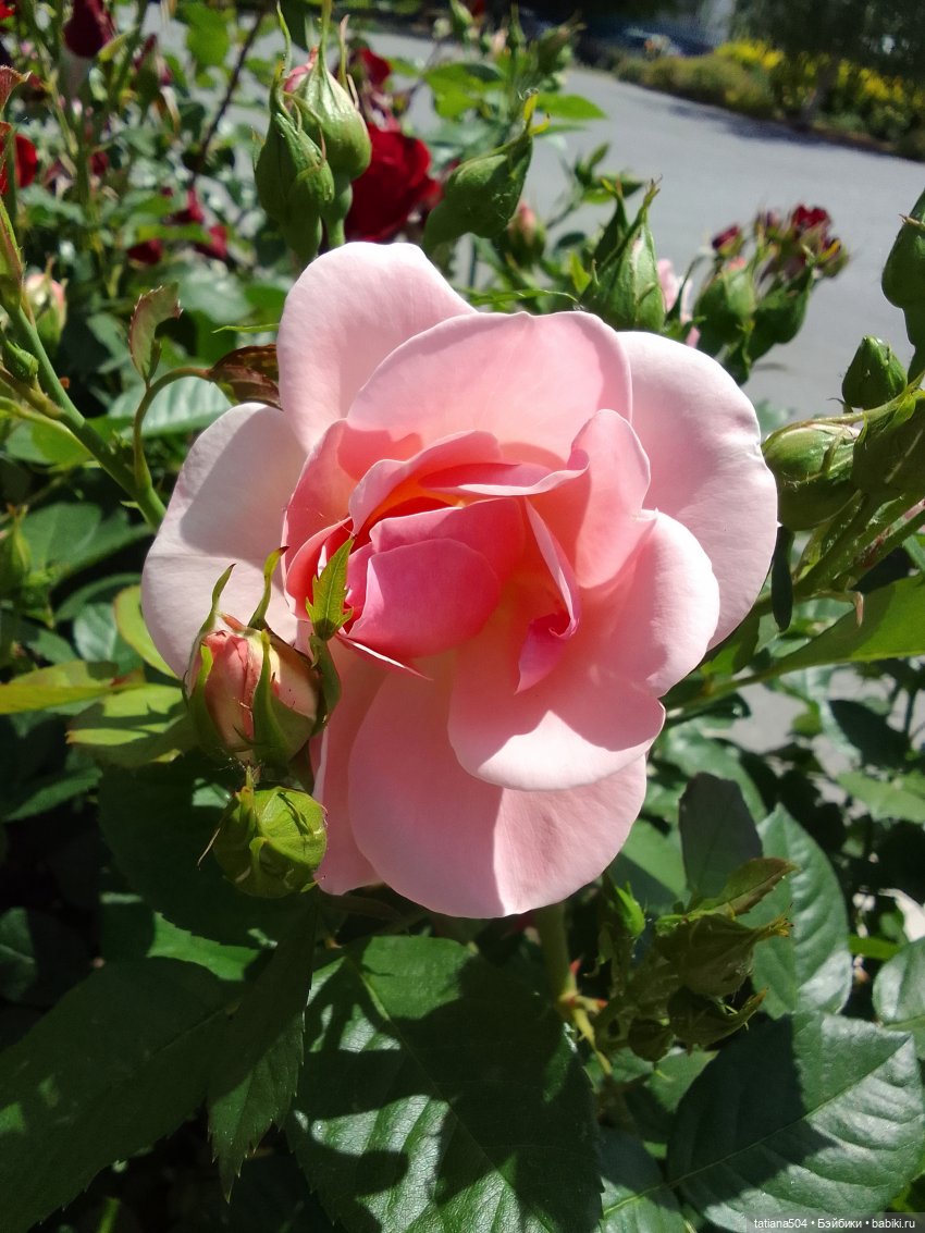 Пенни – цветочница — Винтажные куклы ГДР (Немки): Бигги