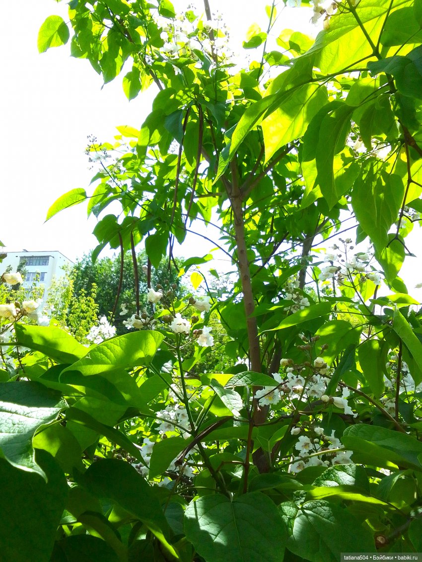 Пенни – цветочница — Винтажные куклы ГДР (Немки): Бигги (фото 10)