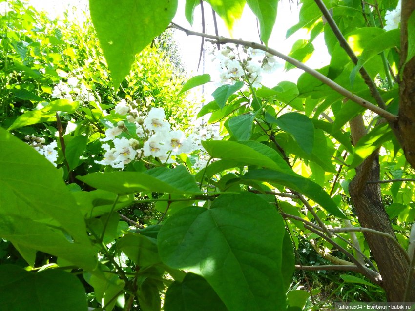 Пенни – цветочница — Винтажные куклы ГДР (Немки): Бигги