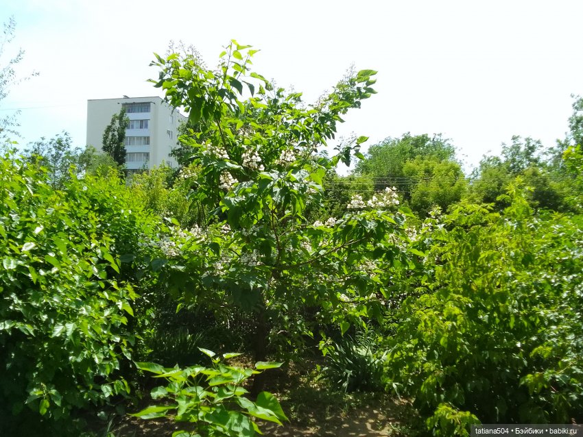 Пенни – цветочница — Винтажные куклы ГДР (Немки): Бигги (фото 6)