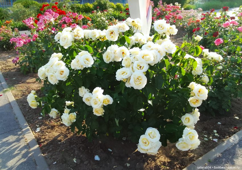 Девочки в цветочках — Куклы Helen Kish (Хелен Киш): Riley (Райли)