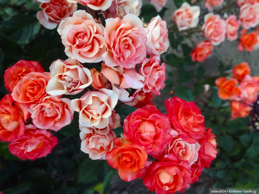 Девочки в цветочках — Куклы Helen Kish (Хелен Киш): Riley (Райли)