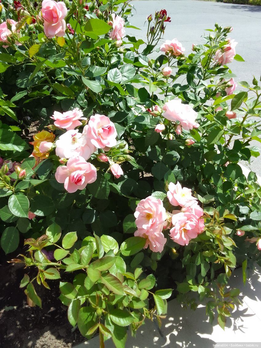 Пенни – цветочница — Винтажные куклы ГДР (Немки): Бигги