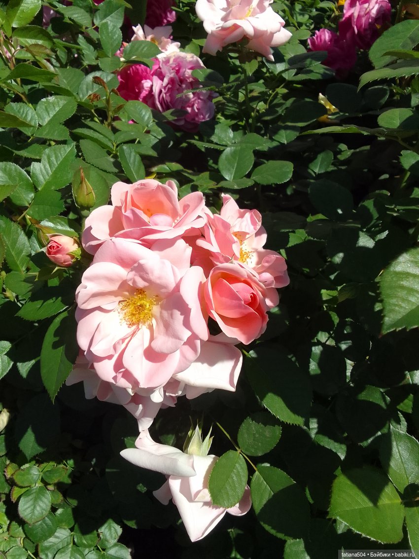 Пенни – цветочница — Винтажные куклы ГДР (Немки): Бигги