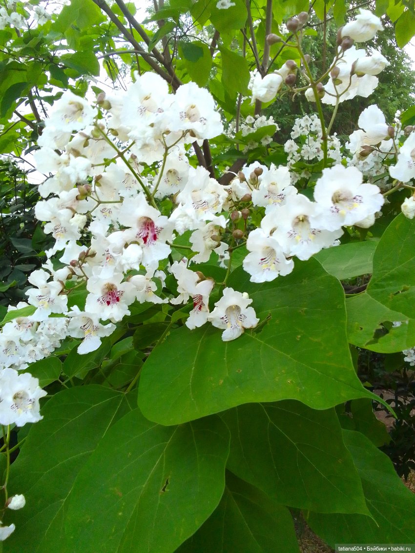 Пенни – цветочница — Винтажные куклы ГДР (Немки): Бигги