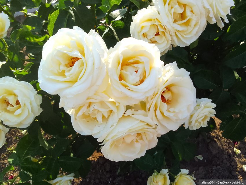 Девочки в цветочках — Куклы Helen Kish (Хелен Киш): Riley (Райли)