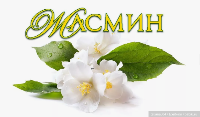 Когда цветет душистый Жасмин (фото 2)