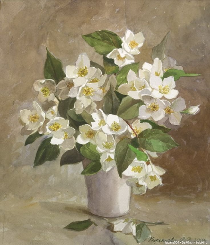 Когда цветет душистый Жасмин