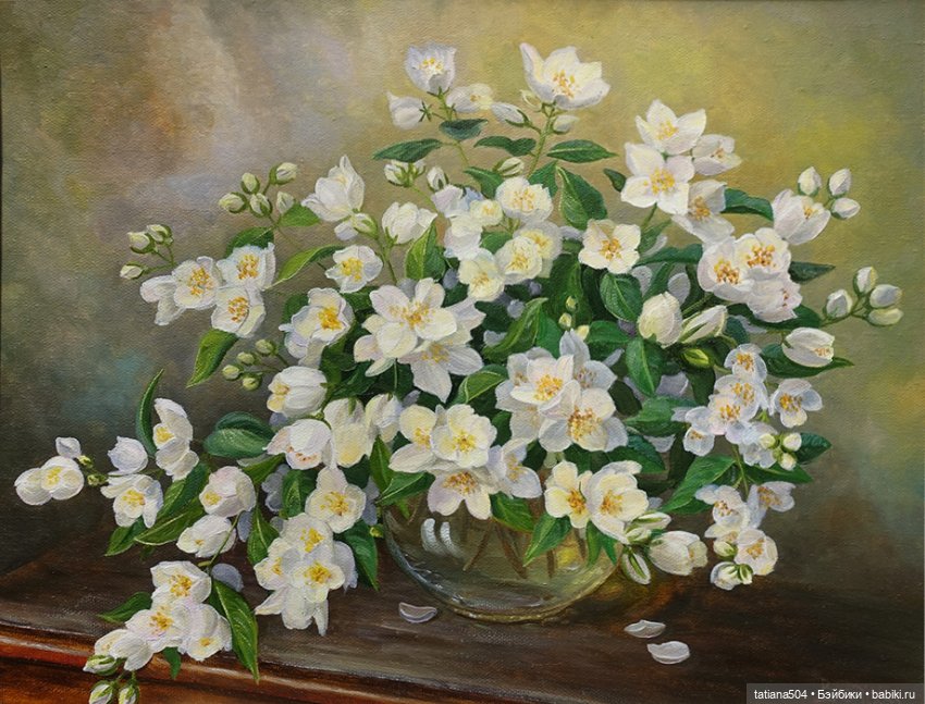 Когда цветет душистый Жасмин