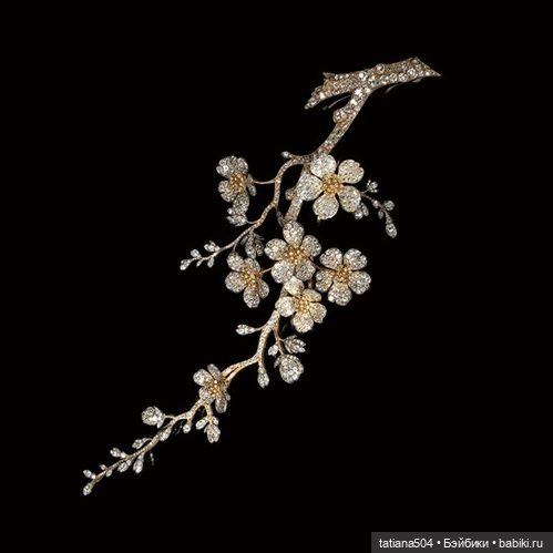 Когда цветет душистый Жасмин