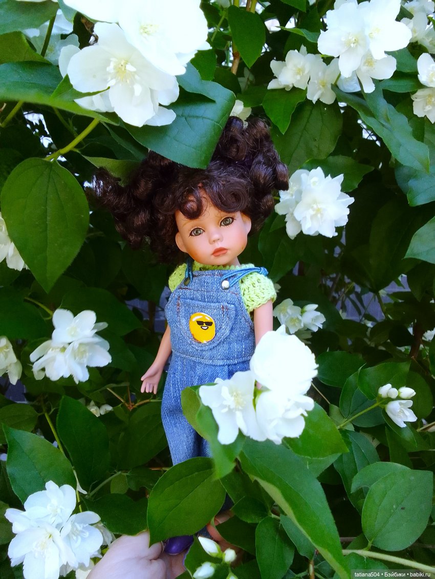 Когда цветет душистый Жасмин