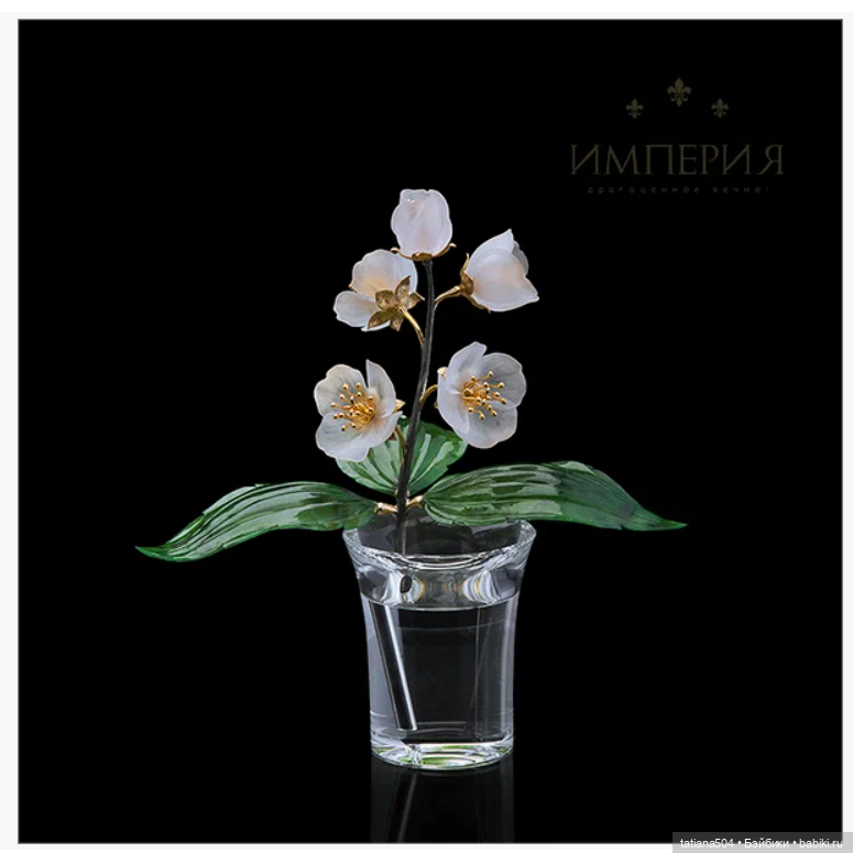 Когда цветет душистый Жасмин