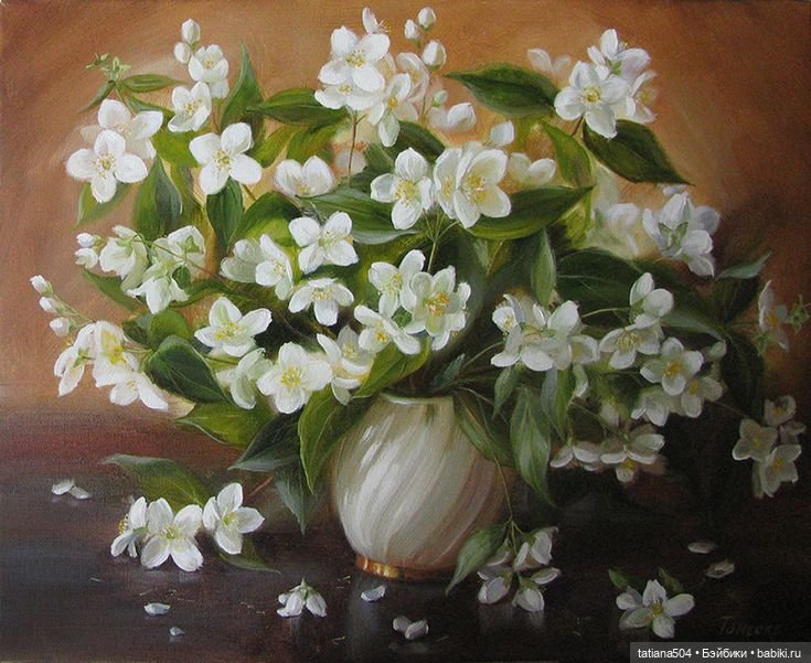 Когда цветет душистый Жасмин