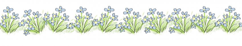 Когда цветет душистый Жасмин