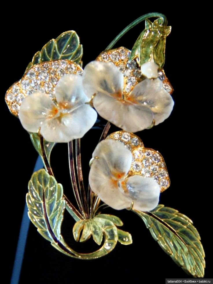 Когда цветет душистый Жасмин