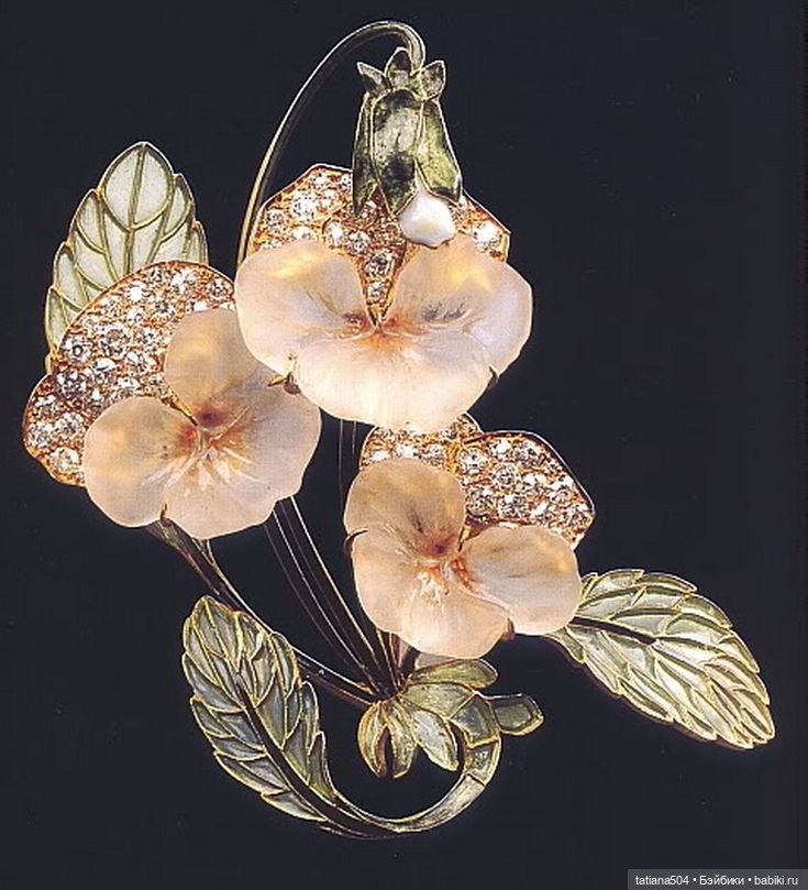 Когда цветет душистый Жасмин