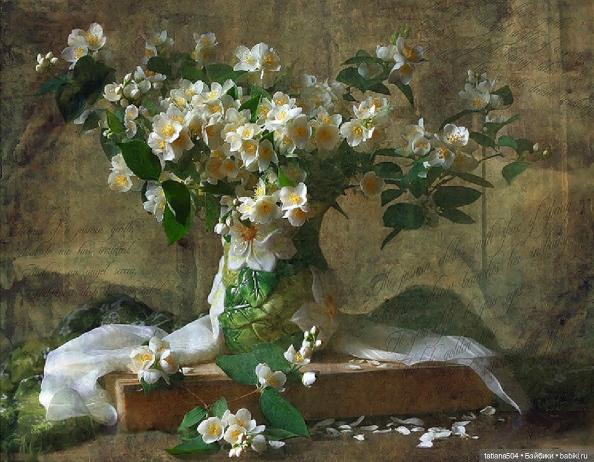 Когда цветет душистый Жасмин