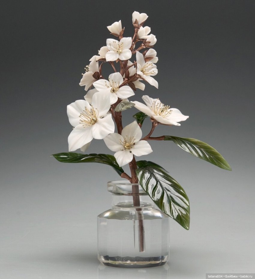 Когда цветет душистый Жасмин