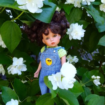 Когда цветет душистый Жасмин