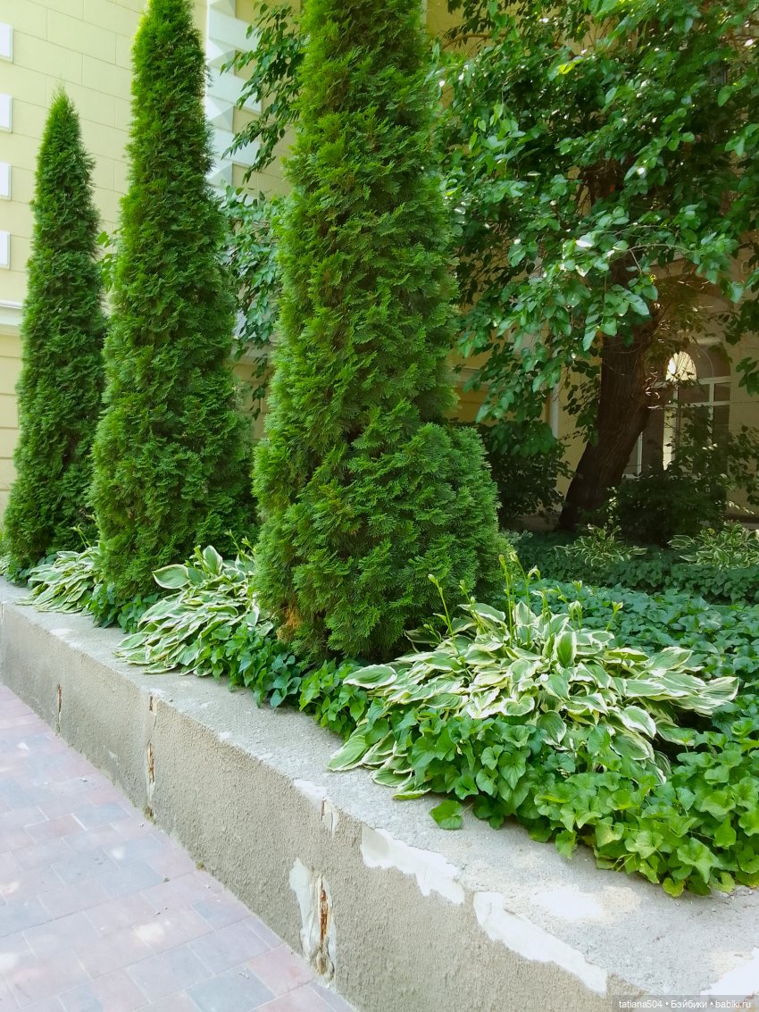 Маша в «Комсомольском садике»