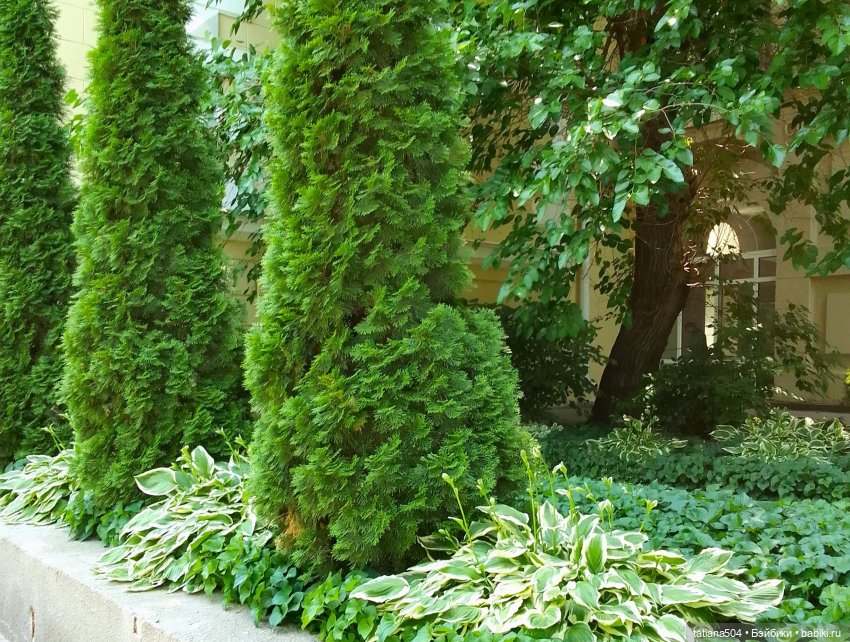 Маша в «Комсомольском садике»