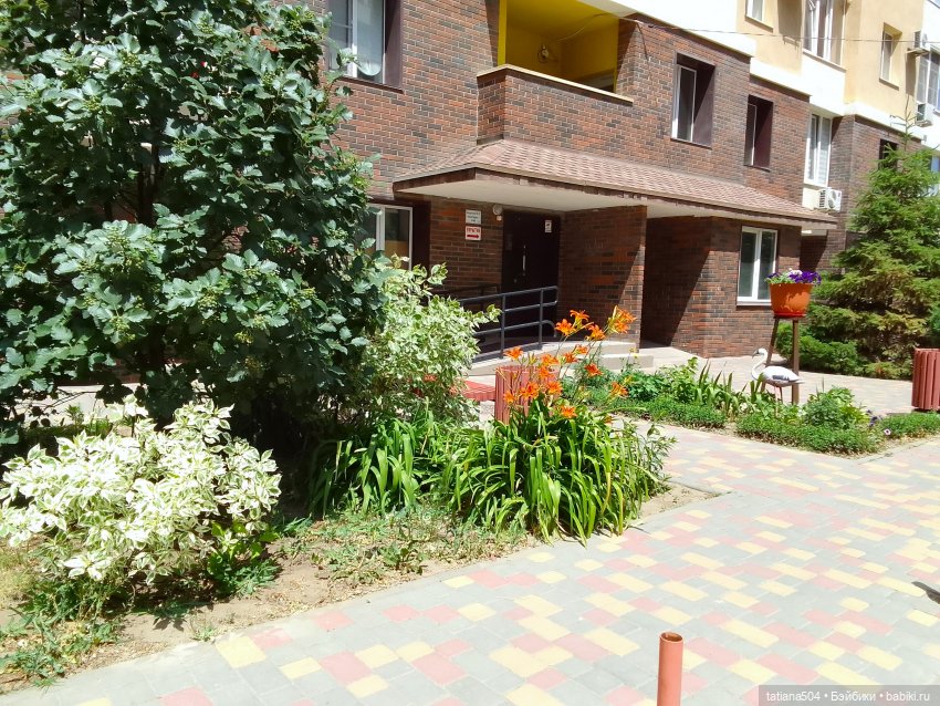 Городская зарисовка с Нанетт (фото 8)