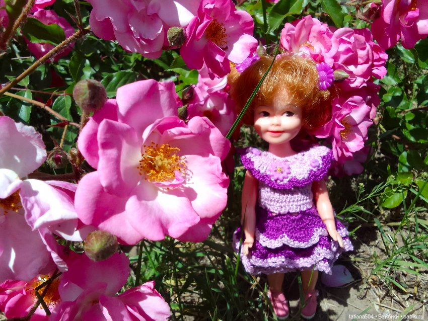 Пенни, розы и грозные жуки