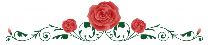 Пенни, розы и грозные жуки