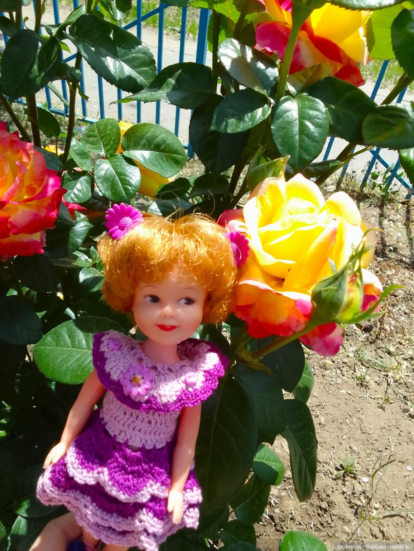 Пенни, розы и грозные жуки