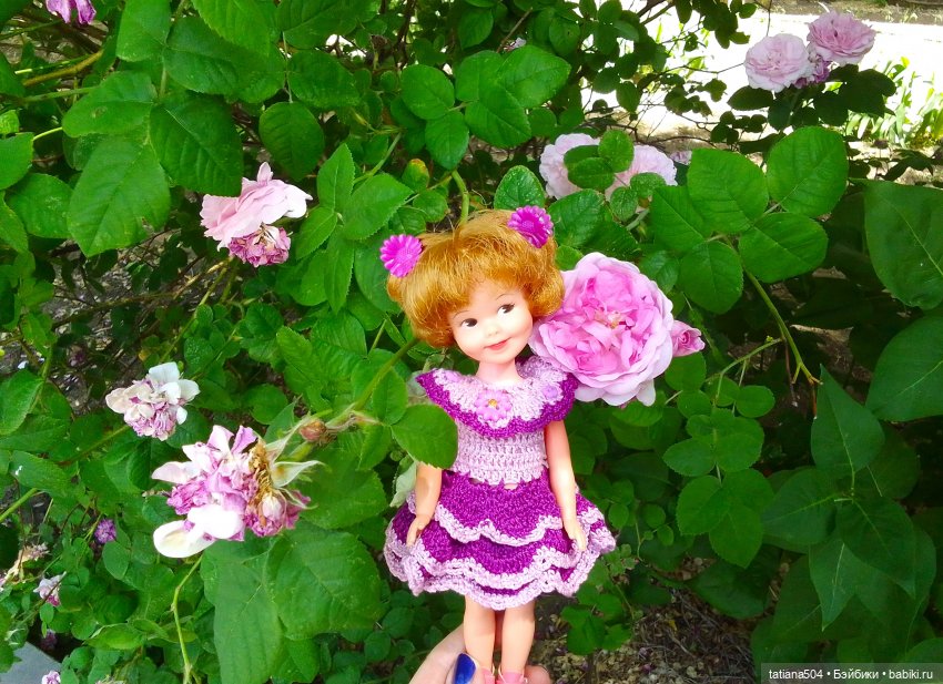 Пенни, розы и грозные жуки