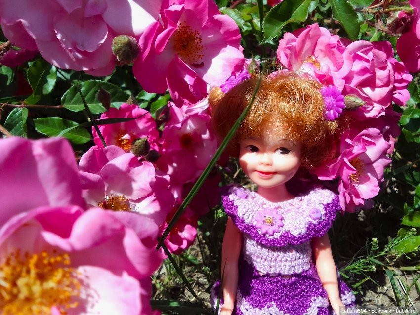 Пенни, розы и грозные жуки