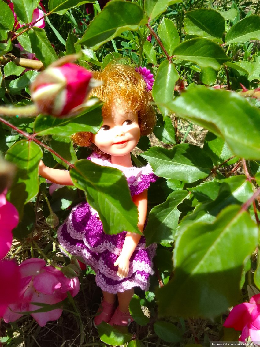 Пенни, розы и грозные жуки