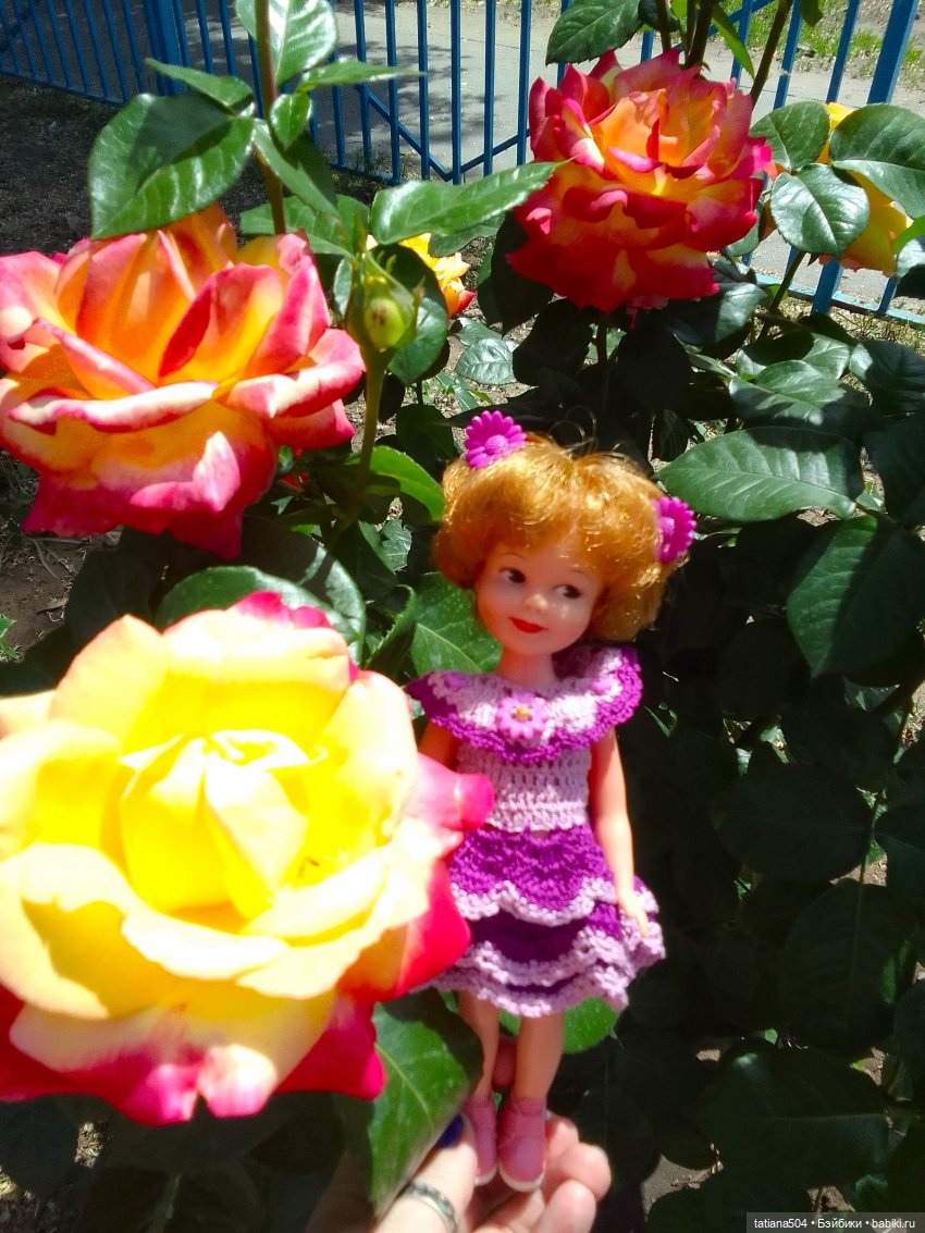 Пенни, розы и грозные жуки (фото 6)