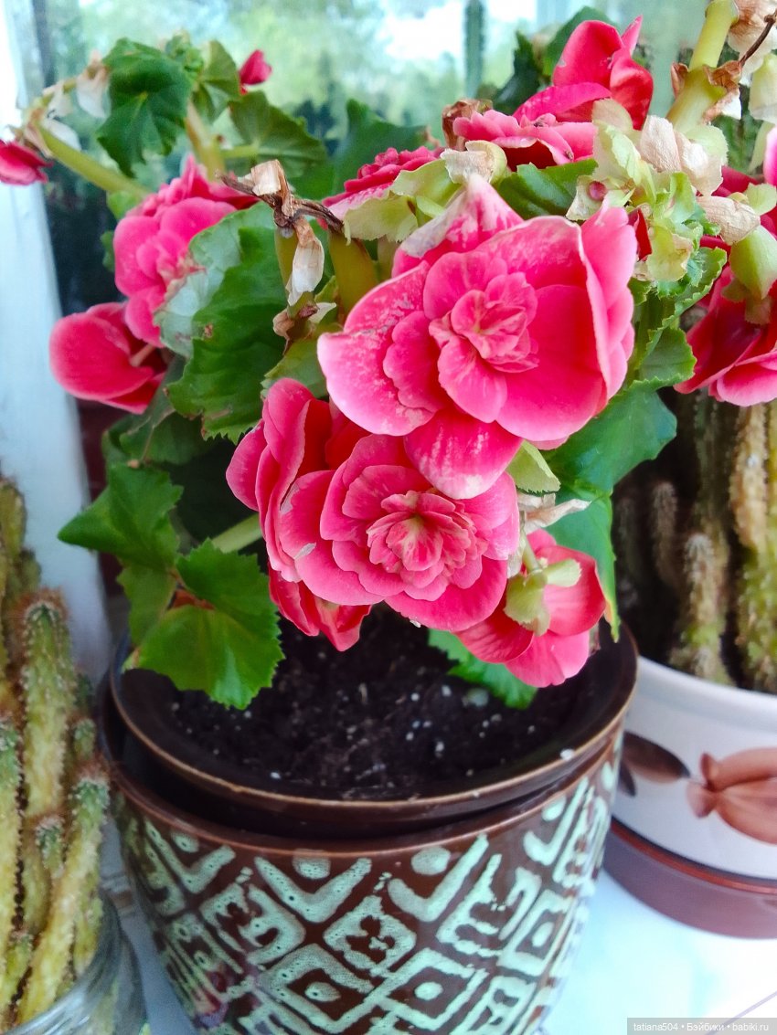 Когда собирается дождь — Фарфоровые куклы Linda Rick (Линда Рик): The Doll Maker (фото 5)