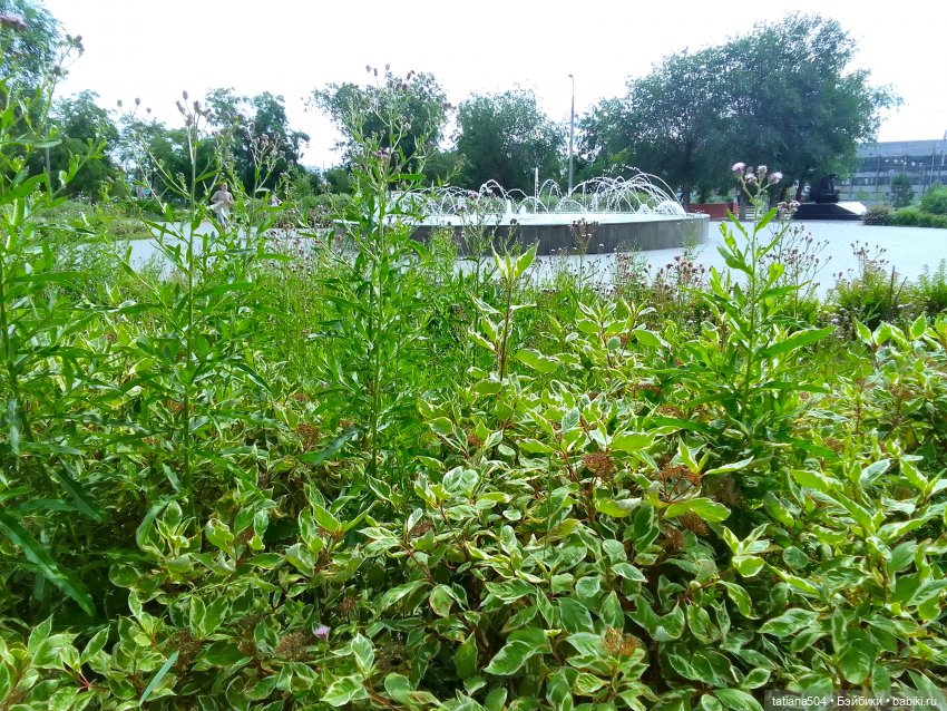 Каникулы Лу”ны (Часть 2) — Куклы Kathe Kruse (Кате/Кэте Крузе): фото