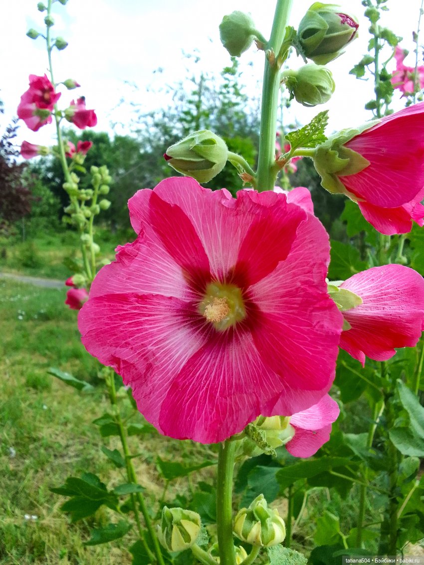 Каникулы Лу”ны (Часть 2) — Куклы Kathe Kruse (Кате/Кэте Крузе): фото