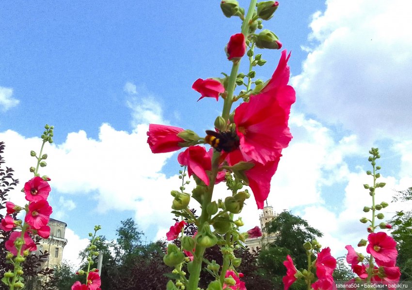 Каникулы Лу”ны (Часть 2) — Куклы Kathe Kruse (Кате/Кэте Крузе): фото