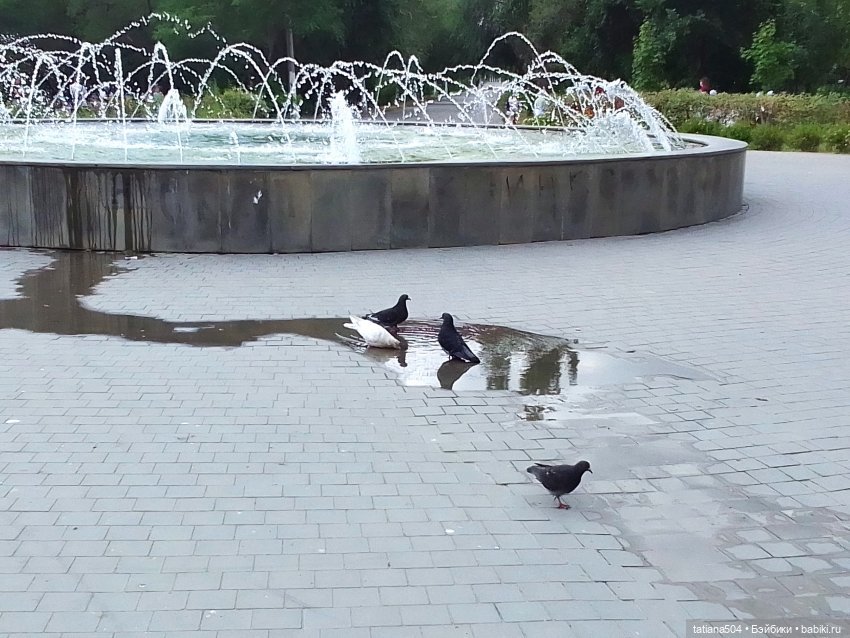 Каникулы Лу”ны (Часть 2) — Куклы Kathe Kruse (Кате/Кэте Крузе): фото